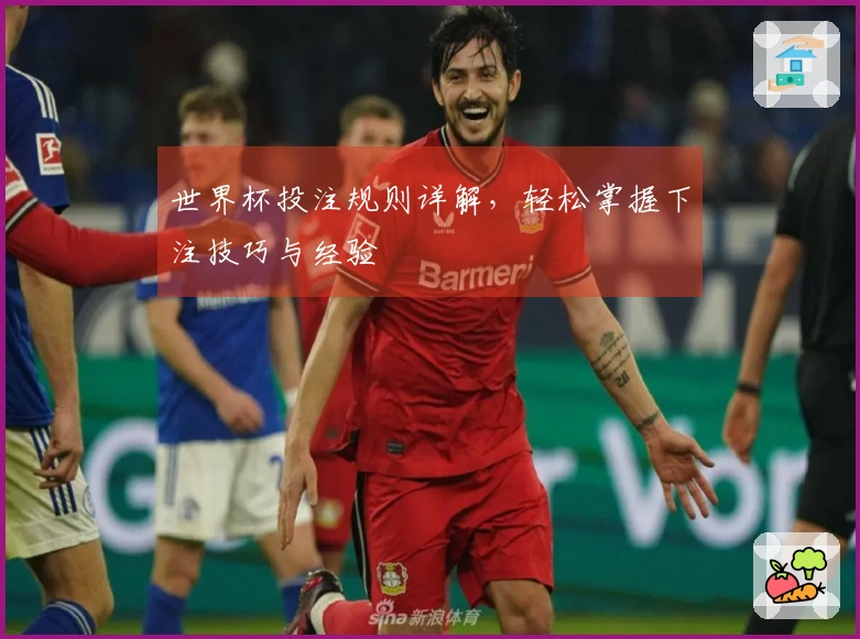世界杯投注规则详解，轻松掌握下注技巧与经验