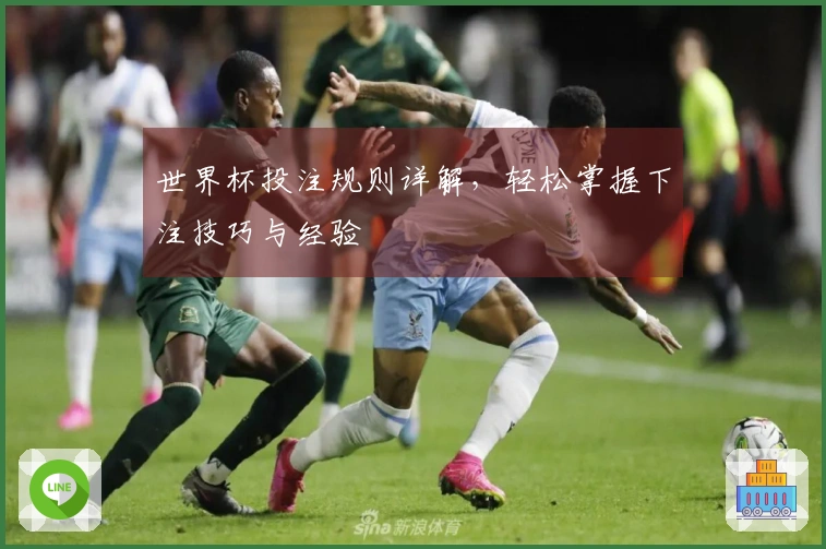 世界杯投注规则详解，轻松掌握下注技巧与经验