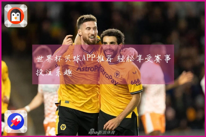 世界杯买球APP推荐 轻松享受赛事投注乐趣
