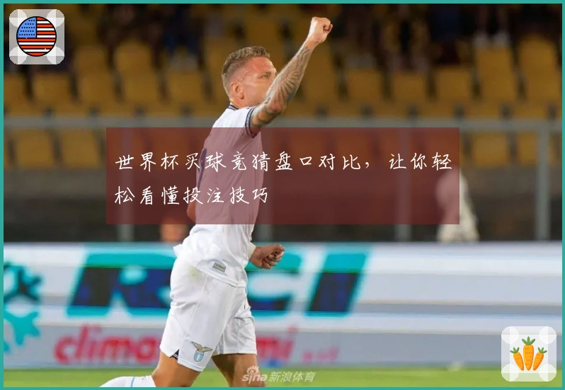 世界杯买球竞猜盘口对比，让你轻松看懂投注技巧