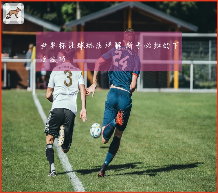 世界杯让球玩法详解 新手必知的下注技巧