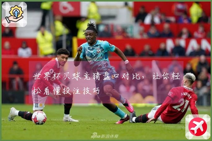 世界杯买球竞猜盘口对比，让你轻松看懂投注技巧