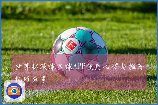 世界杯滚球买球APP使用心得与推荐技巧分享