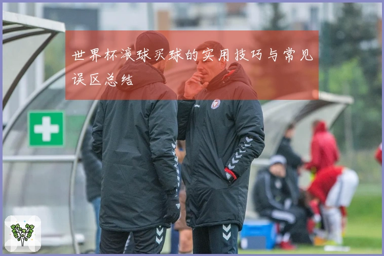 世界杯滚球买球的实用技巧与常见误区总结