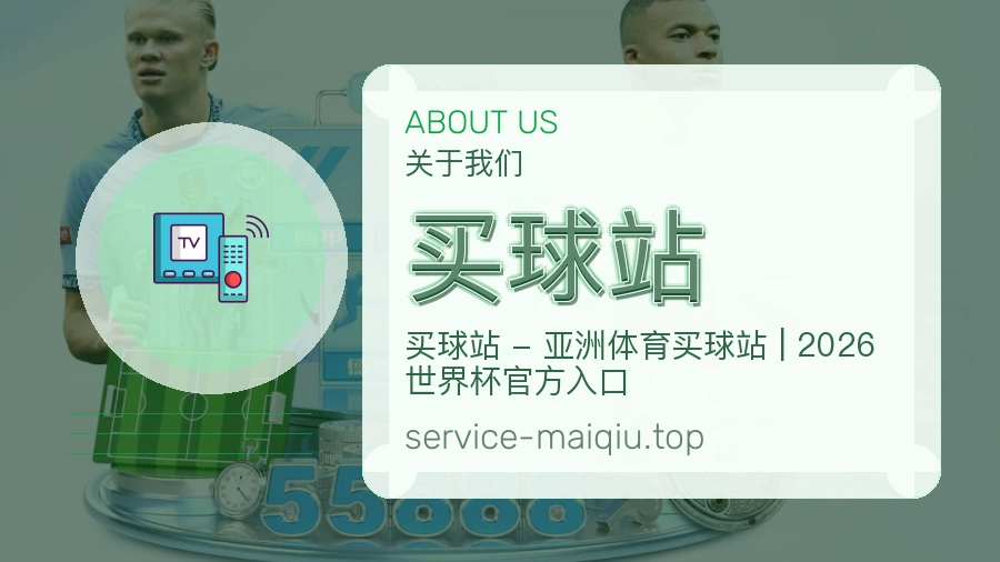 关于 买球站 团队与服务